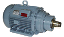 Air-Cooled Motors - Speno